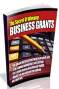 The Secret Of Winning Business Grants